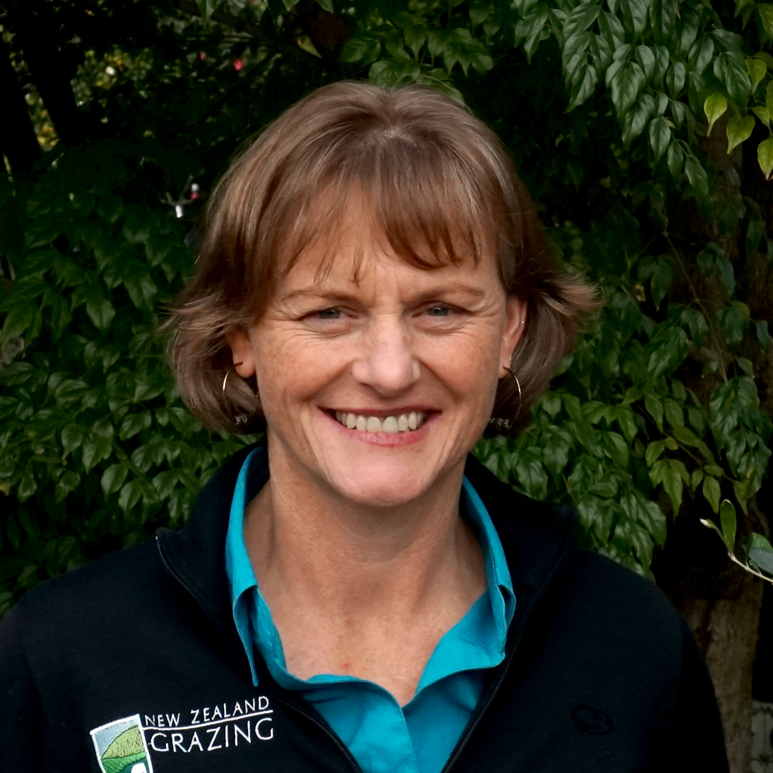 Hawkes Bay New Zealand Grazing